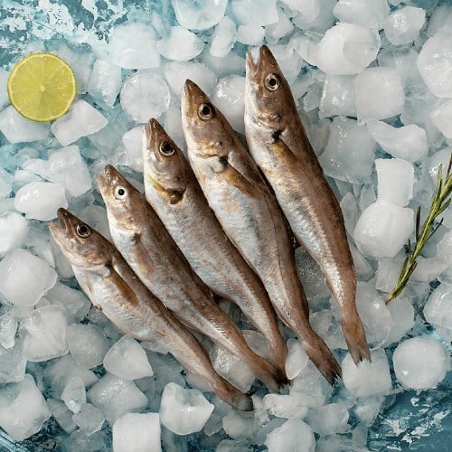 Mezgit, Karadeniz (500 gr) Balık Ye