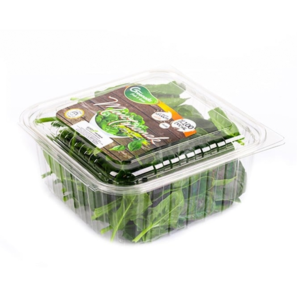 Mini Ispanak (150 gr) Greenada