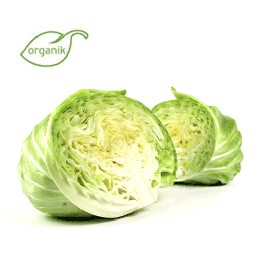 Organik Beyaz Lahana (2 kg) Pulur Organik - Yalova