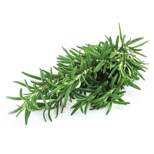 Organik Biberiye (demet)