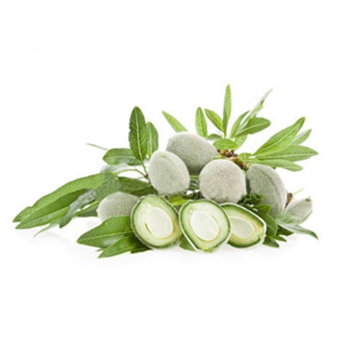 Organik Çağla (250 gr)