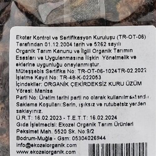 organik-cekirdeksiz-kuru-uzum-250-gr-e-1-7b12.jpg