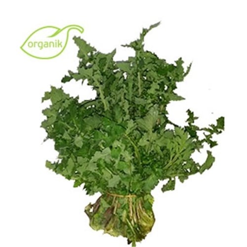 Organik Eşek Otu - Sütlü Diken (demet) **