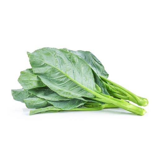 Organik Kara Lahana (demet) Yener Organik - Zonguldak