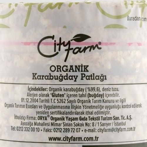 organik-karabugday-patlagi-100-gr-city-1944bc.jpg
