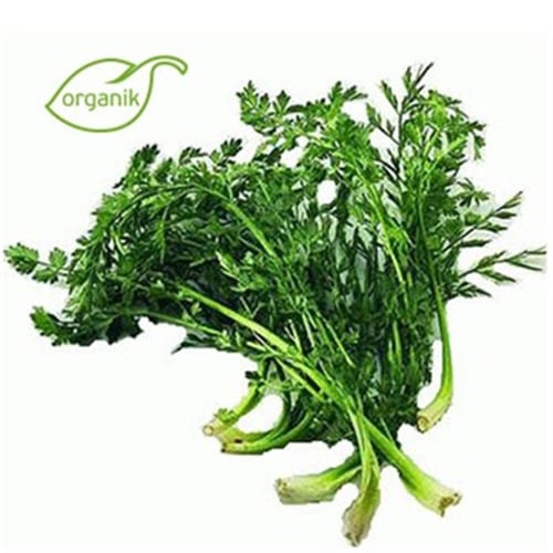 Organik Kaz Ayağı Otu (demet)