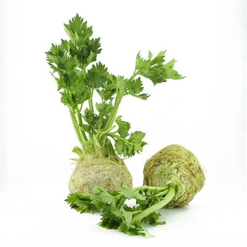 Organik Kereviz , kg **