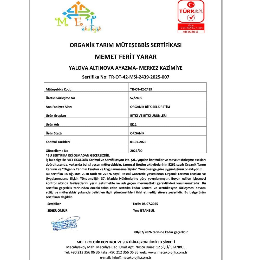 Organik Kivi (500 gr) Pulur Organik - Yalova