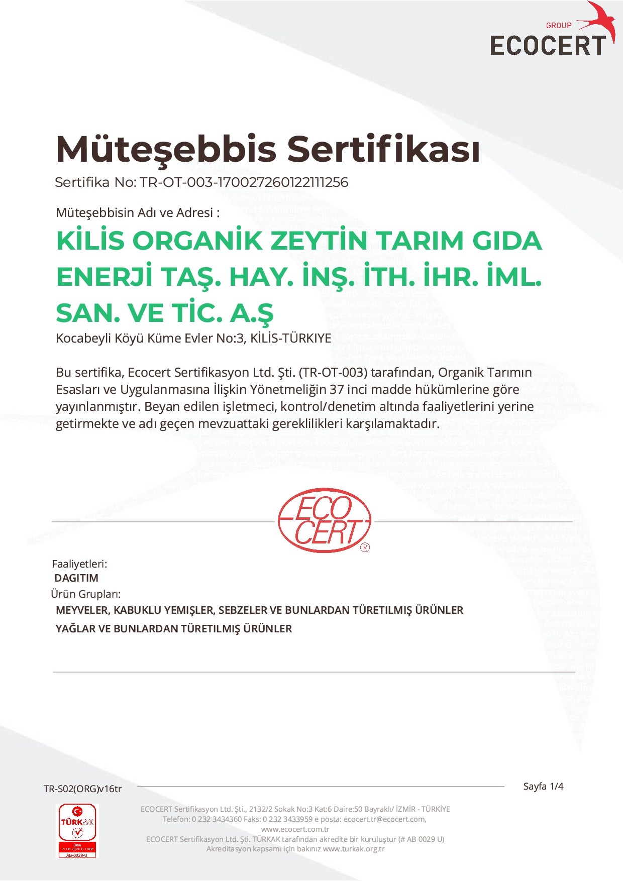 Organik Naturel Sızma Zeytinyağı Teneke (5 lt) Kilizi