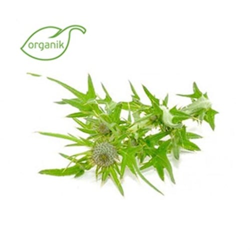 Organik Şevketi Bostan demet **