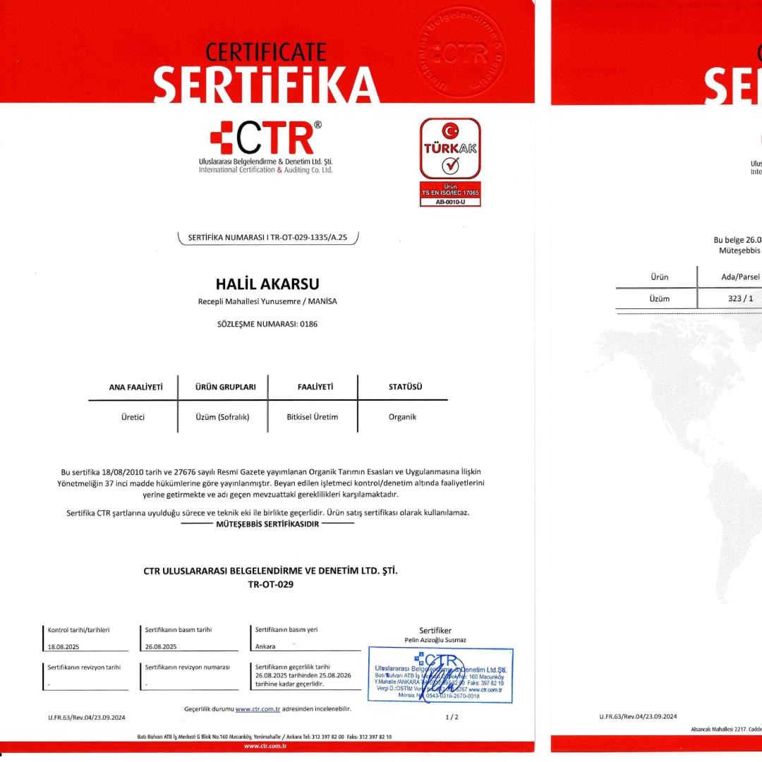 Organik Siyah Üzüm (500 gr) Manisa