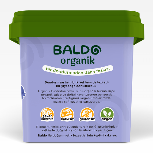 Organik Yaban Mersinli Vegan Dondurma (400 gr) Baldo
