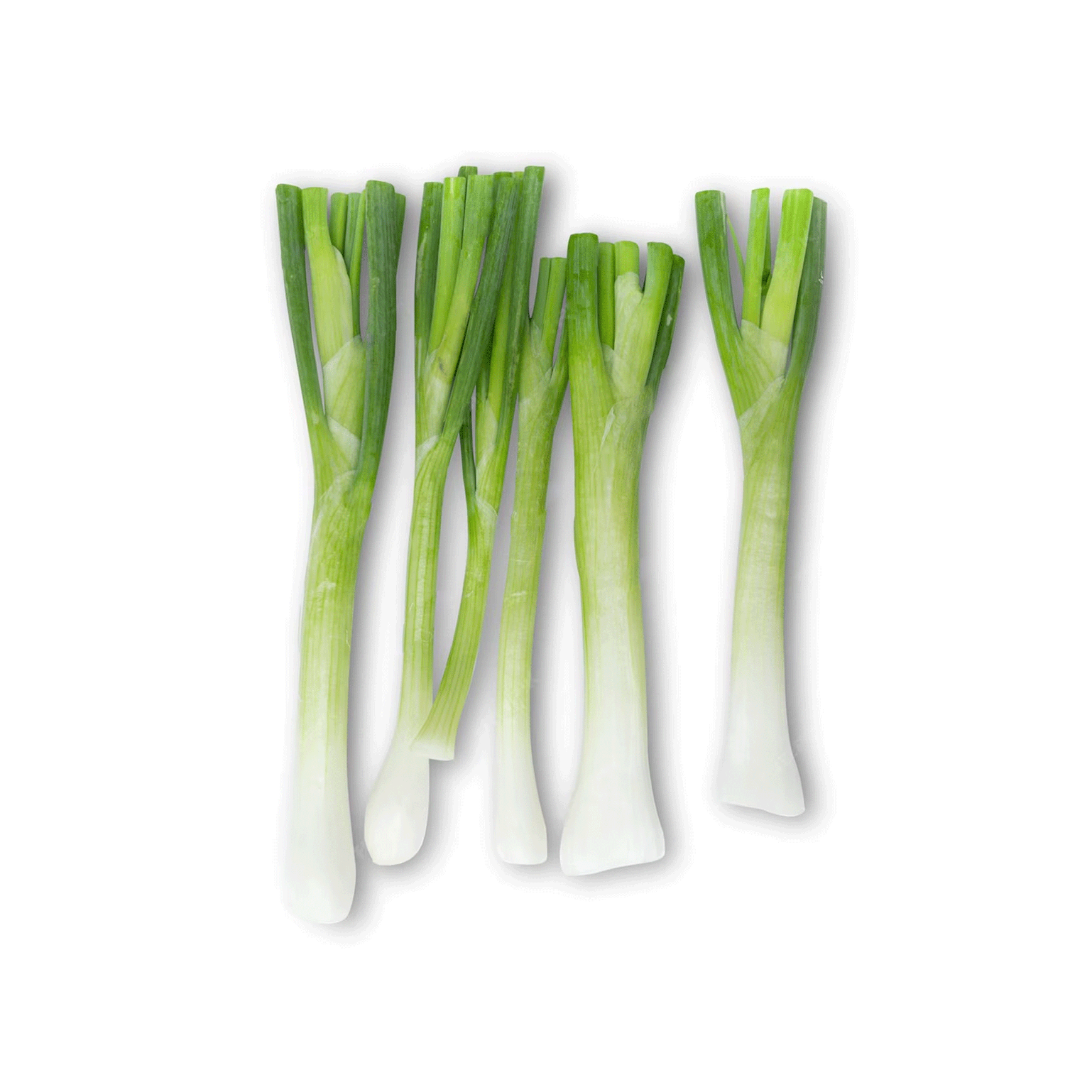 Organik Yapraksız, Temizlenmiş Pırasa (kg)