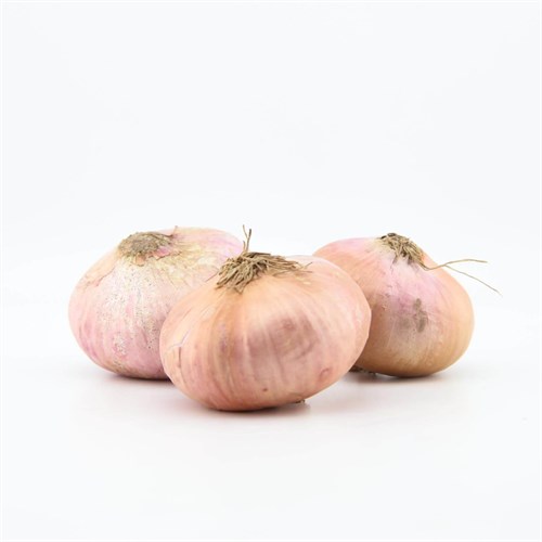 Organik Yassı Kuru Soğan (kg)