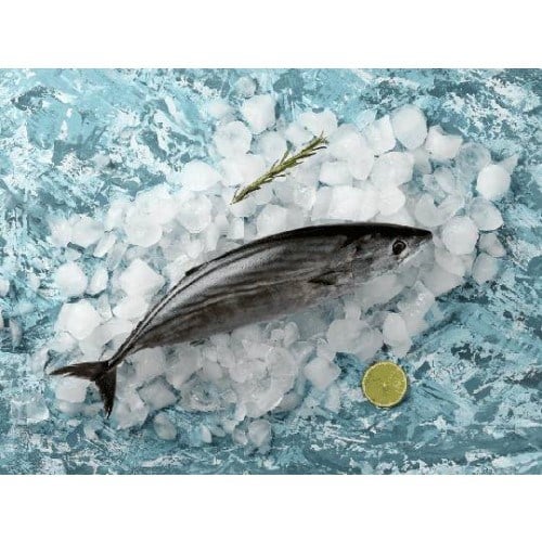 Palamut Taze, Takoz Dilim (800-1000 gr) Balık Ye