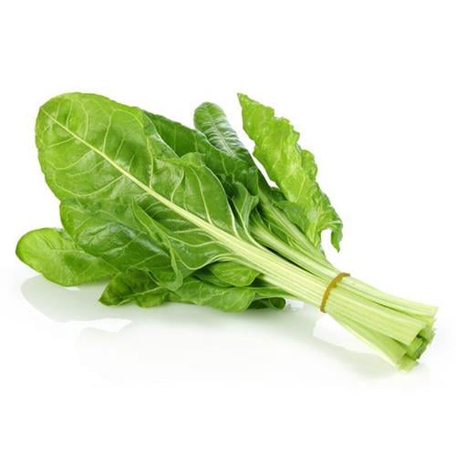 Pazı, Yalova (demet)