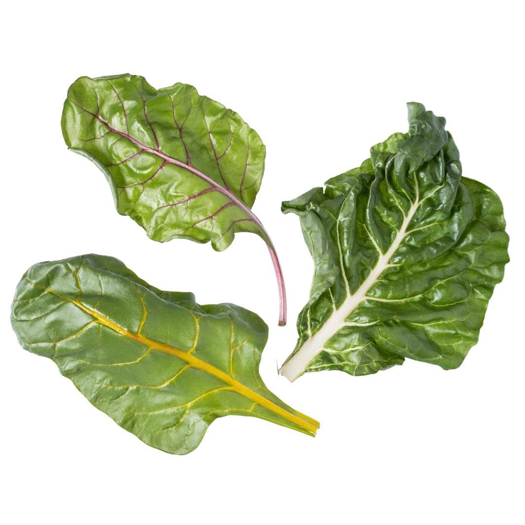 Renkli Pazı (100 gr) Plant Factory