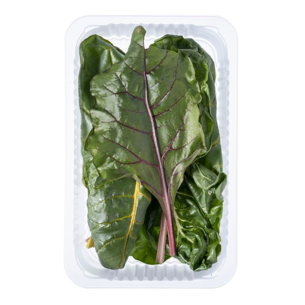 Renkli Pazı (100 gr) Plant Factory