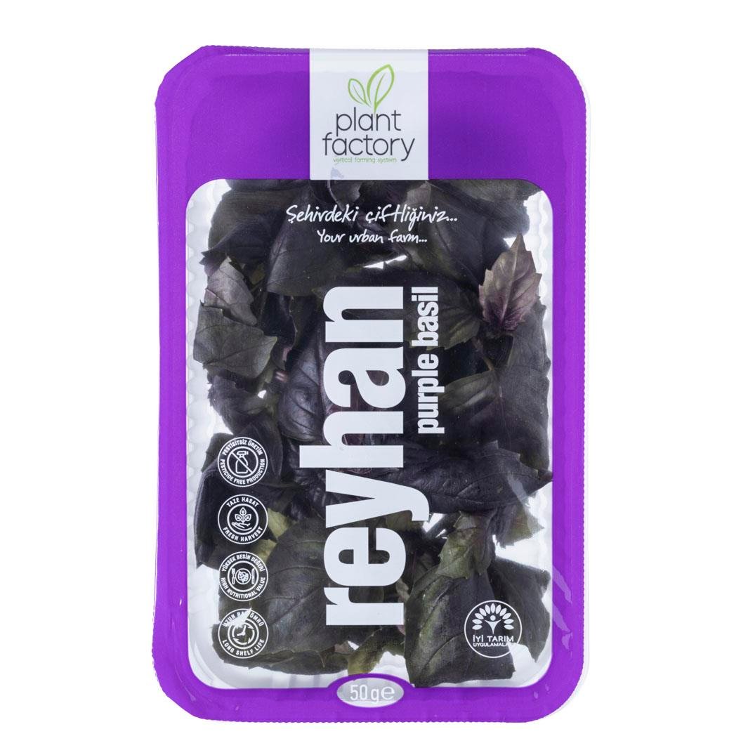 Reyhan (50 gr) Plant Factory