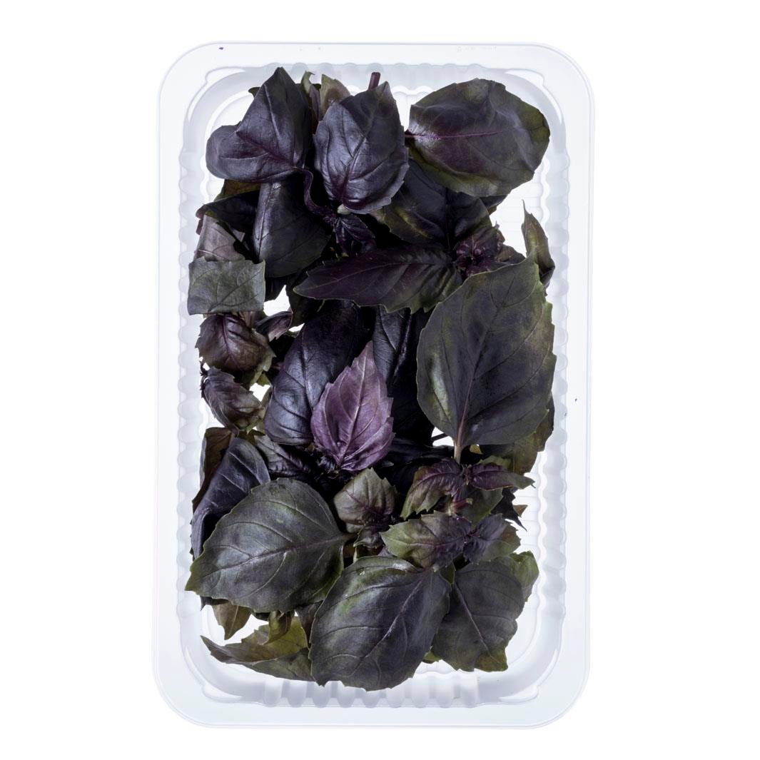 Reyhan (50 gr) Plant Factory