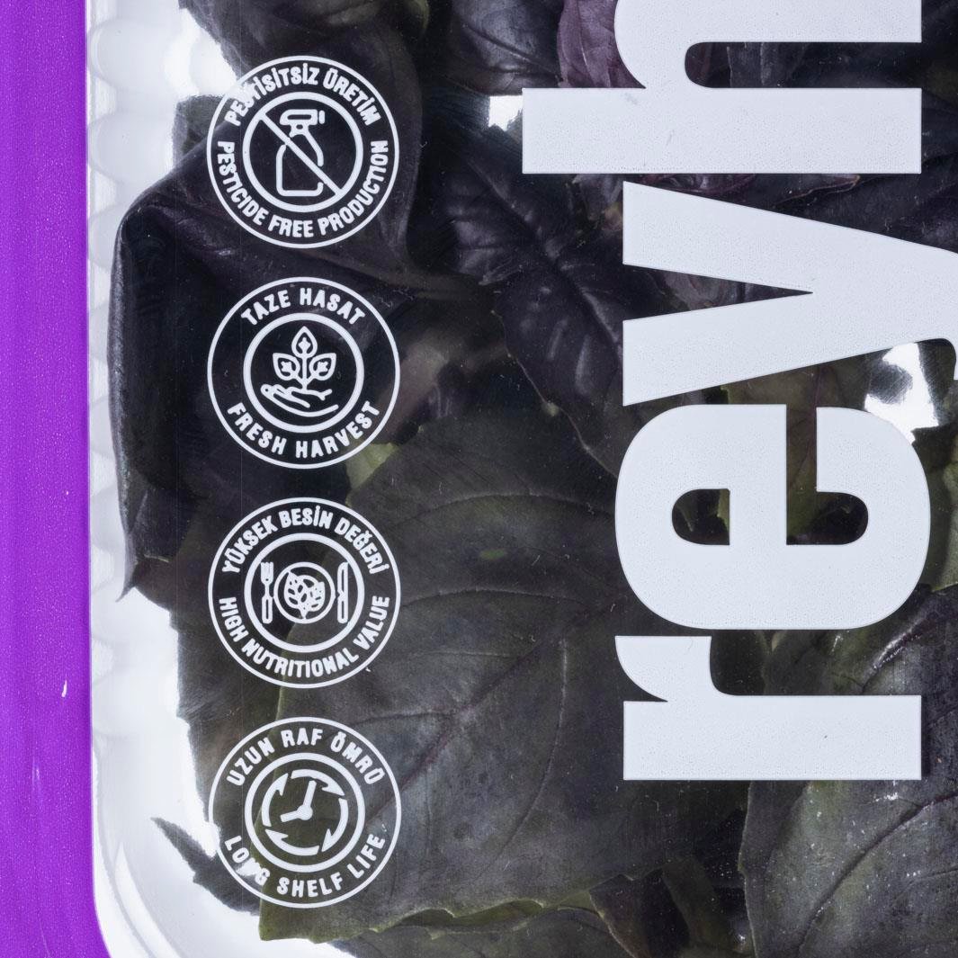 Reyhan (50 gr) Plant Factory