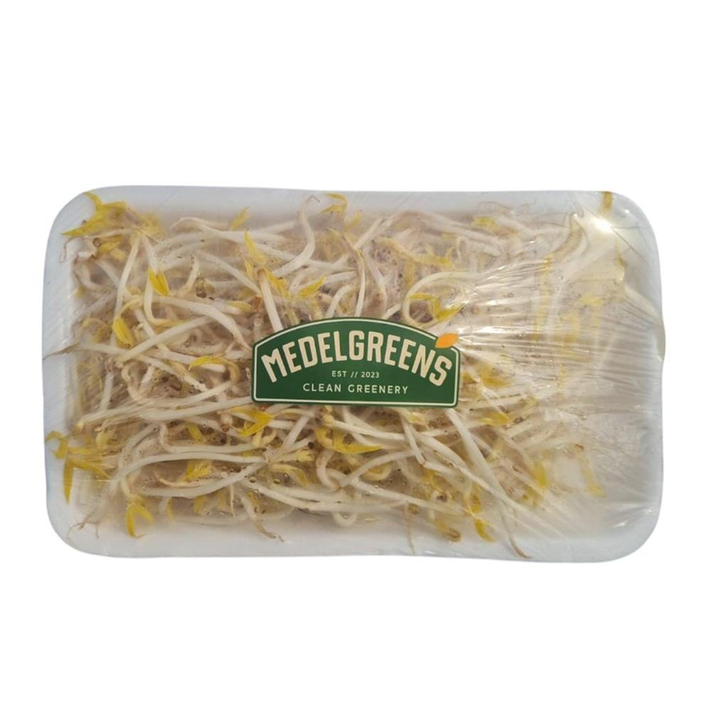 Soya Filizi (125 gr)  Medel Greens
