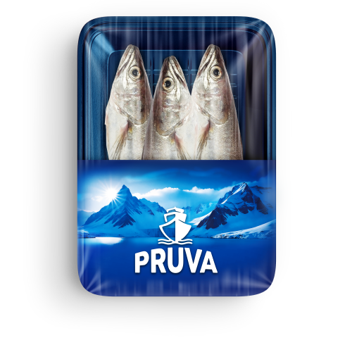 Tavuk Balığı (500 gr) Pruva