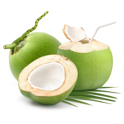 Taze Hindistan Cevizi (adet) Excelente