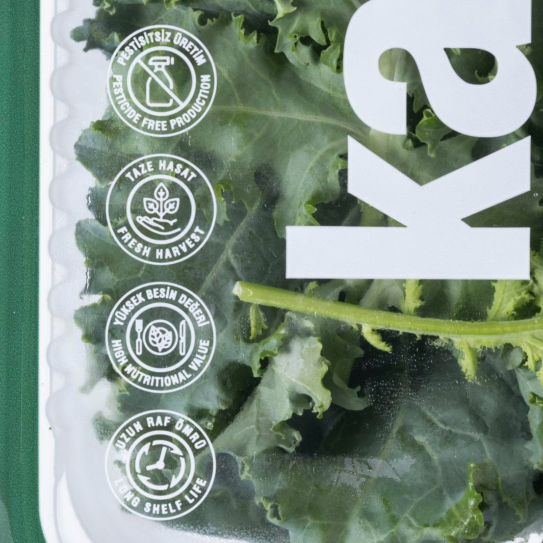Yeşil Kale (100 gr) Plant Factory