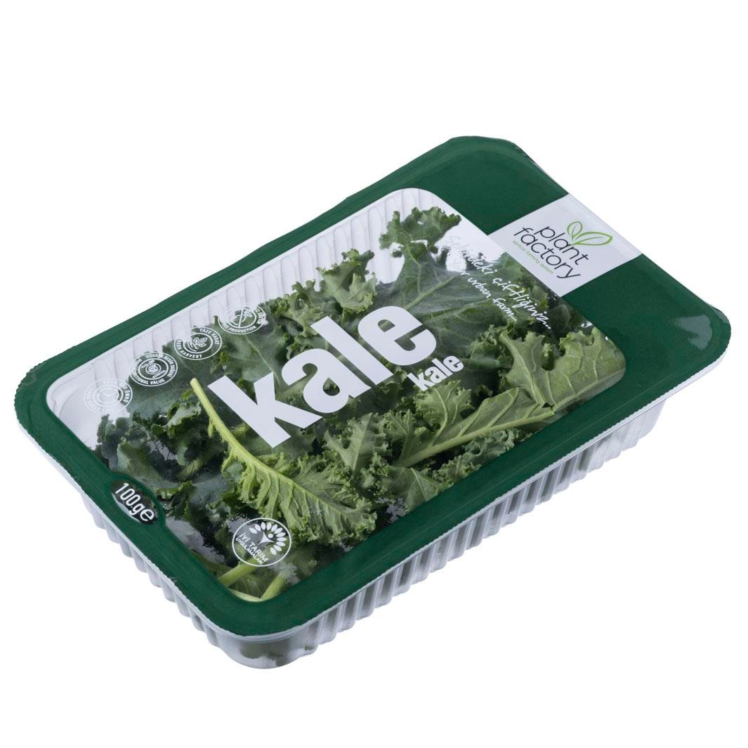 Yeşil Kale (100 gr) Plant Factory