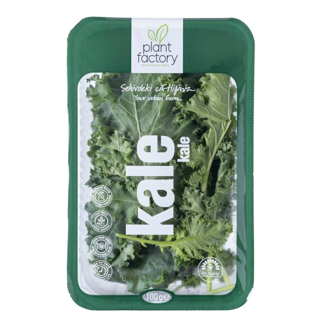 Yeşil Kale (100 gr) Plant Factory