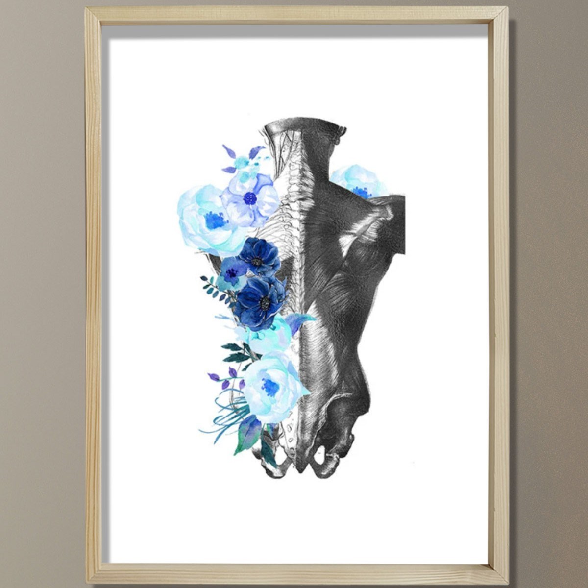 Anatomi Ve Ortopedik Sanat, Kayropraktik Doktoru Ofisi Duvar Tablosu