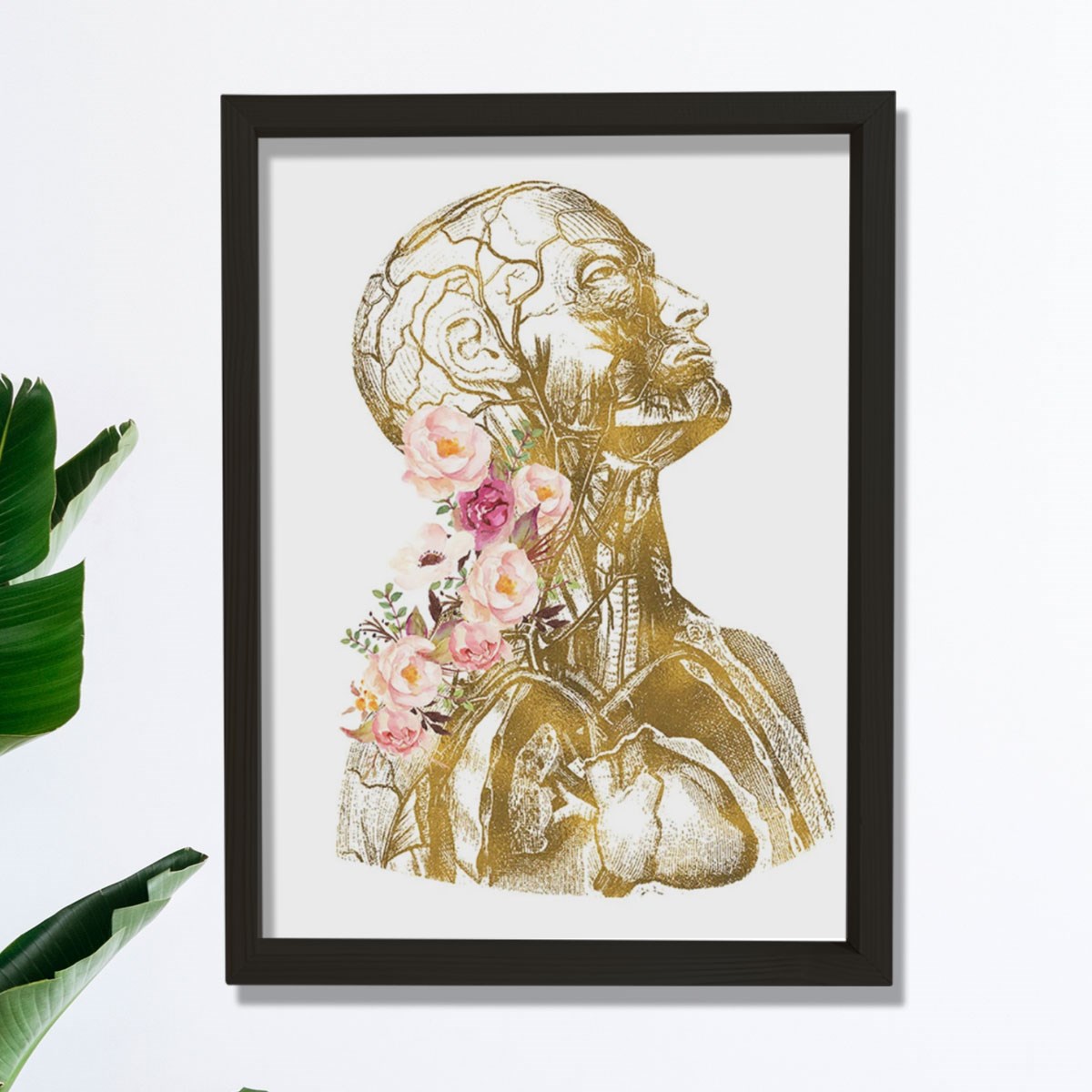 Anatomik Sanat, İnsan Anatomisi Posteri, Tıbbi Ofis Dekoru