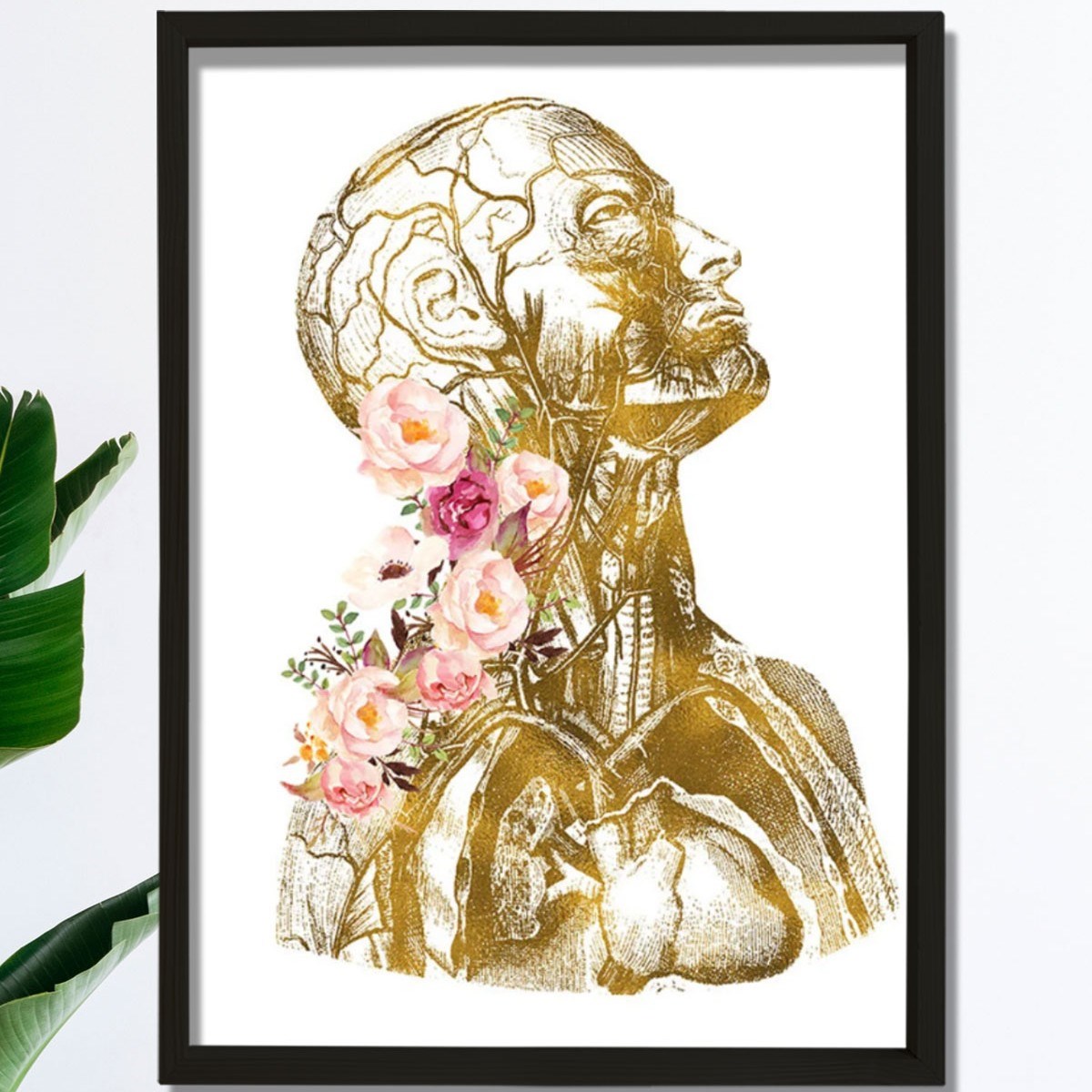 Anatomik Sanat, İnsan Anatomisi Posteri, Tıbbi Ofis Dekoru