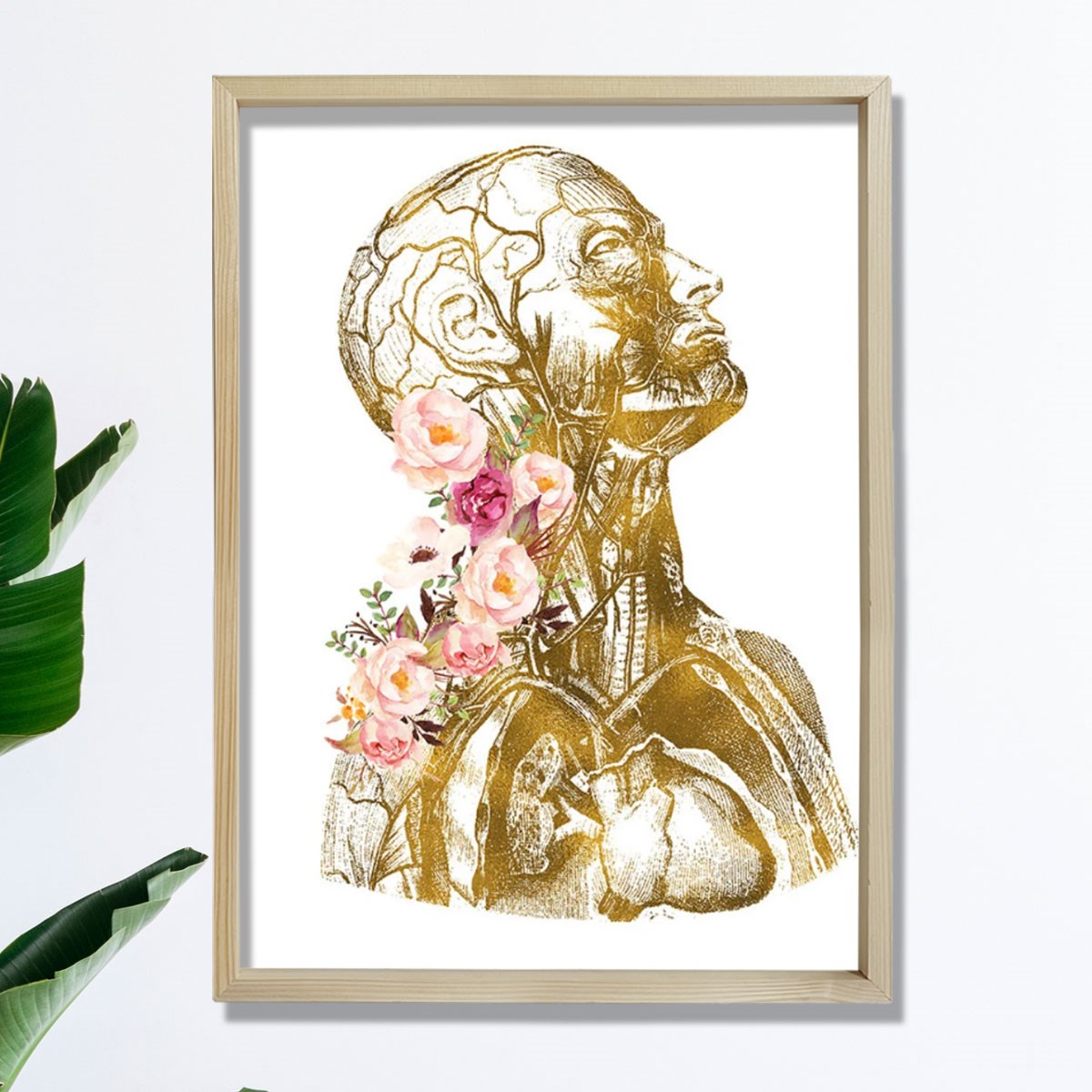 Anatomik Sanat, İnsan Anatomisi Posteri, Tıbbi Ofis Dekoru