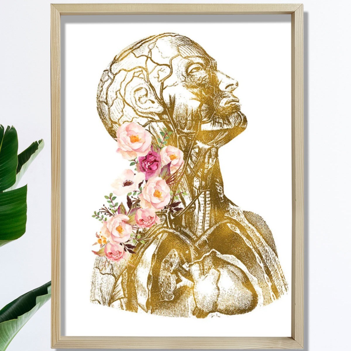 Anatomik Sanat, İnsan Anatomisi Posteri, Tıbbi Ofis Dekoru