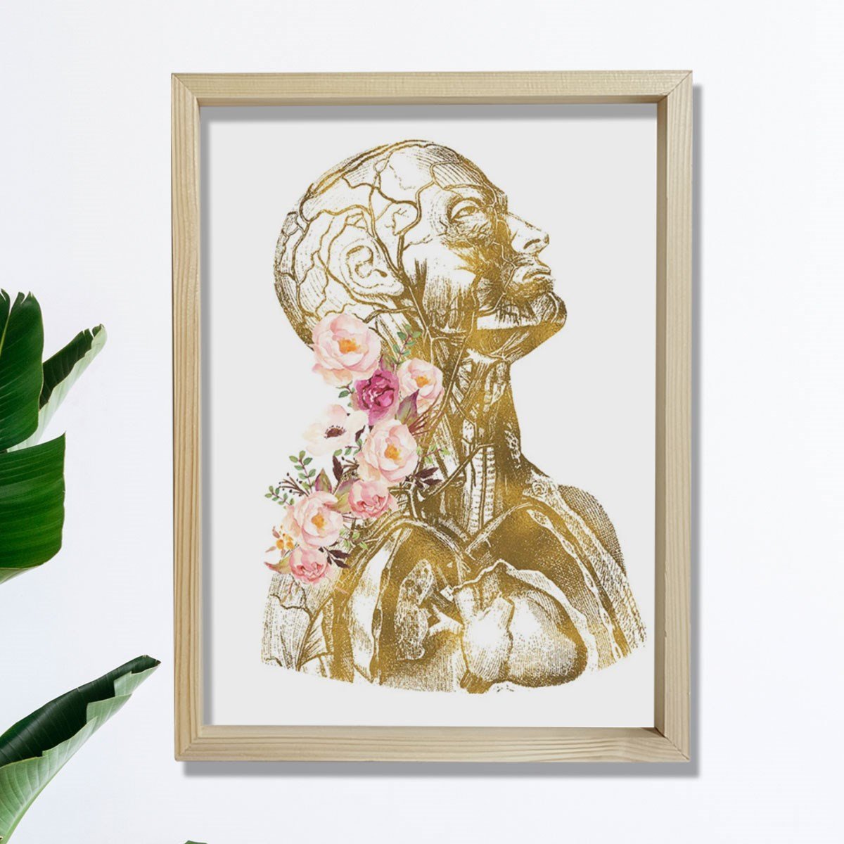 Anatomik Sanat, İnsan Anatomisi Posteri, Tıbbi Ofis Dekoru