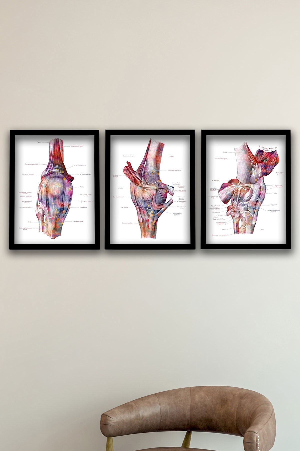 Anatomik Tablo, Doktor Hediyesi, Diz Eklemi Anatomisi, Ayak Tendonları ve Ligamentleri Yapısı Doktor Odası  Duvar Tablosu 3 lü