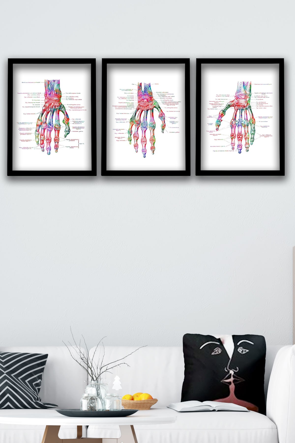 AnatomiK Tablo, El Kemikleri, Ortopedi, Doktor Odası Duvar Tablosu 3 lü