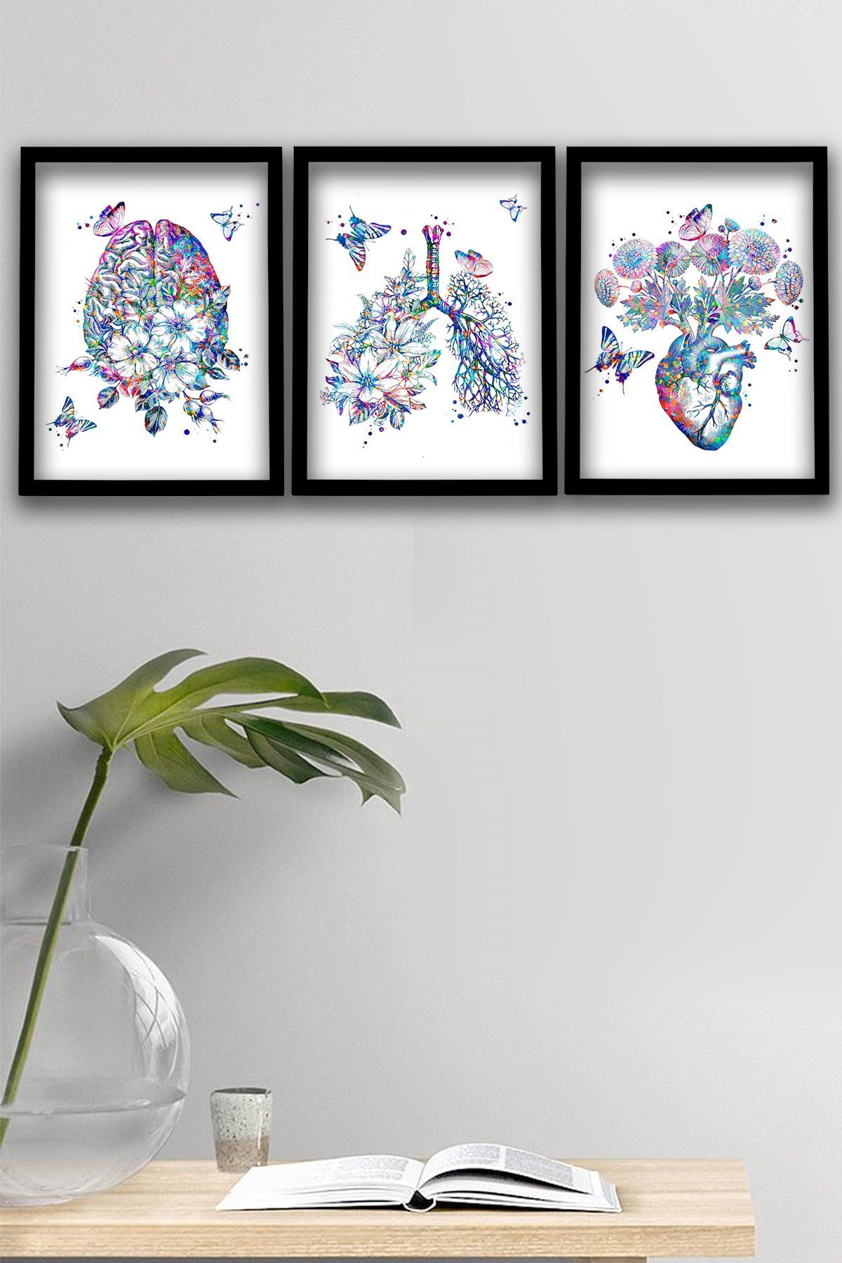 Anatomik Tablo, Kalp Anatomisi, Kalp, Kardiyoloji Dokotu Duvar Tablosu 3 lü