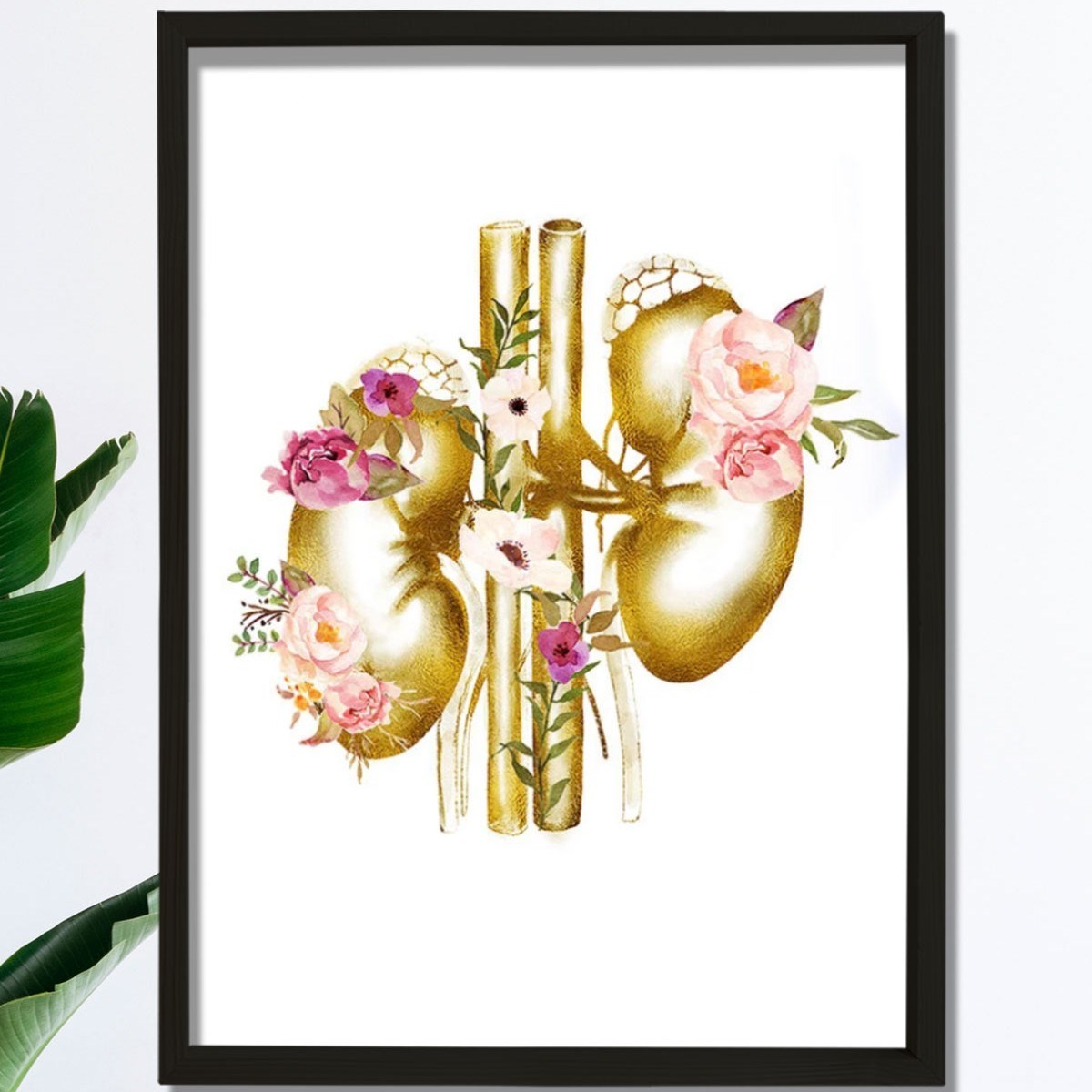 Böbrek Anatomisi Ve Sanatı, Ürolog Doktoru Duvar Tablosu