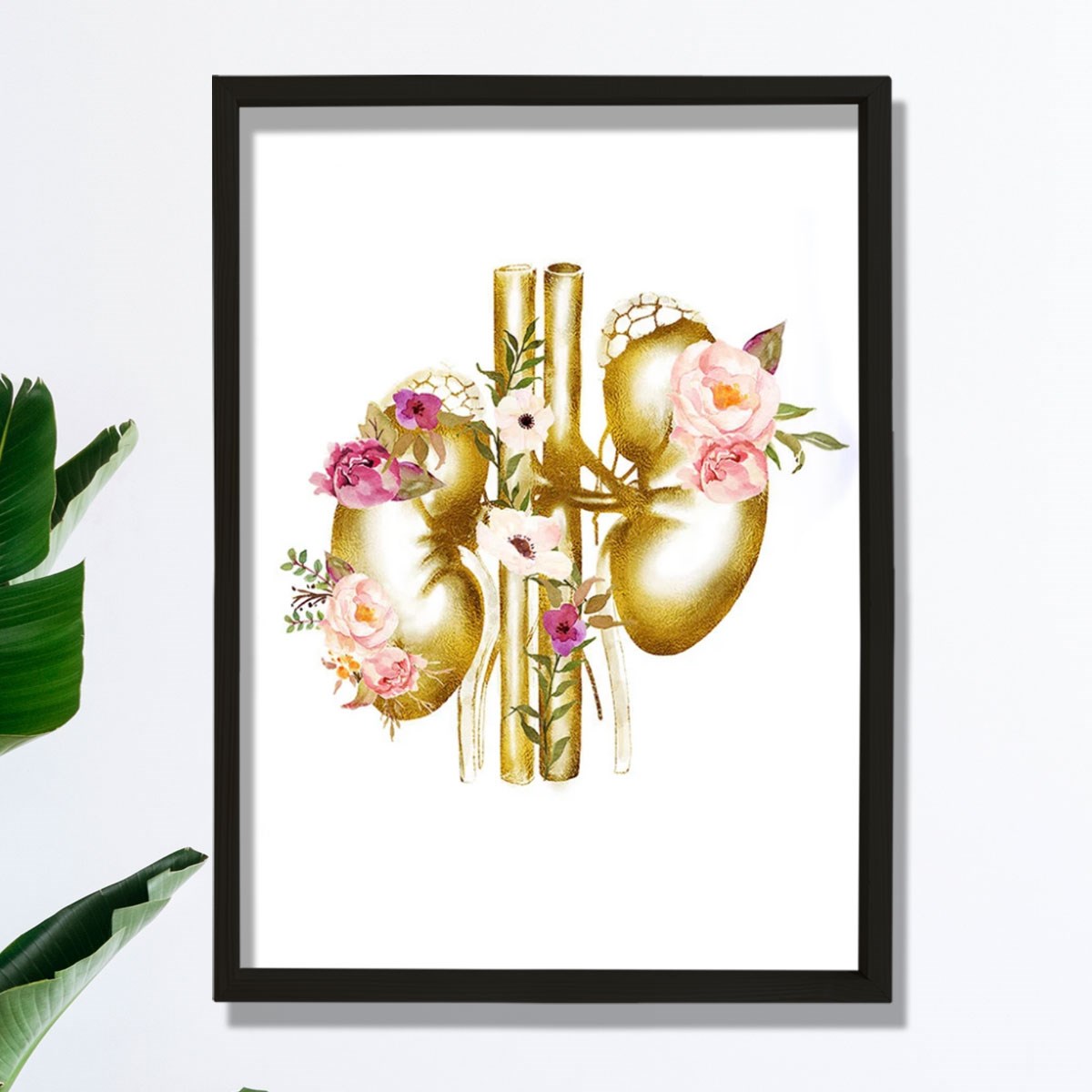 Böbrek Anatomisi Ve Sanatı, Ürolog Doktoru Duvar Tablosu