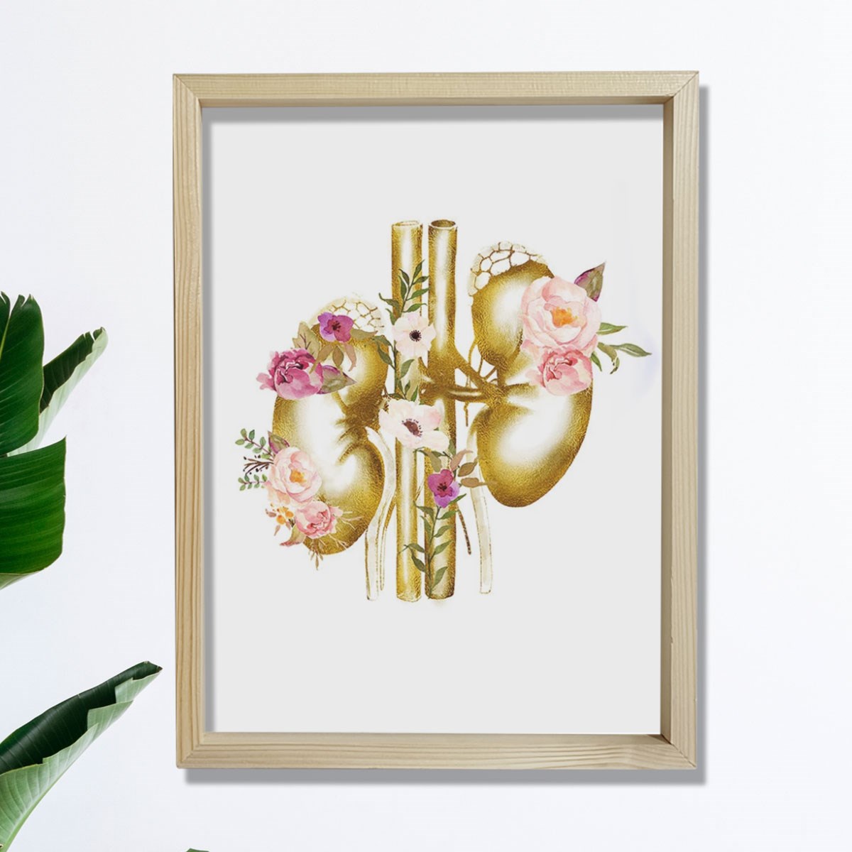 Böbrek Anatomisi Ve Sanatı, Ürolog Doktoru Duvar Tablosu