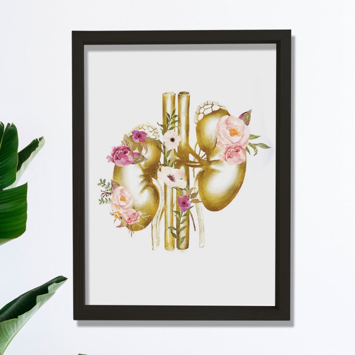 Böbrek Anatomisi Ve Sanatı, Ürolog Doktoru Duvar Tablosu