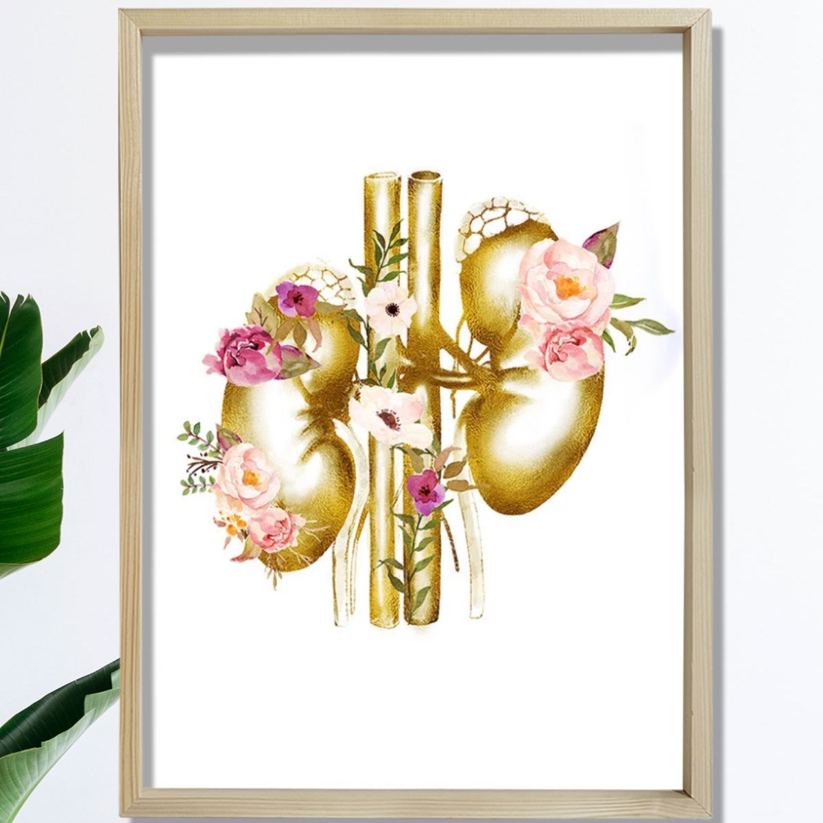 Böbrek Anatomisi Ve Sanatı, Ürolog Doktoru Duvar Tablosu