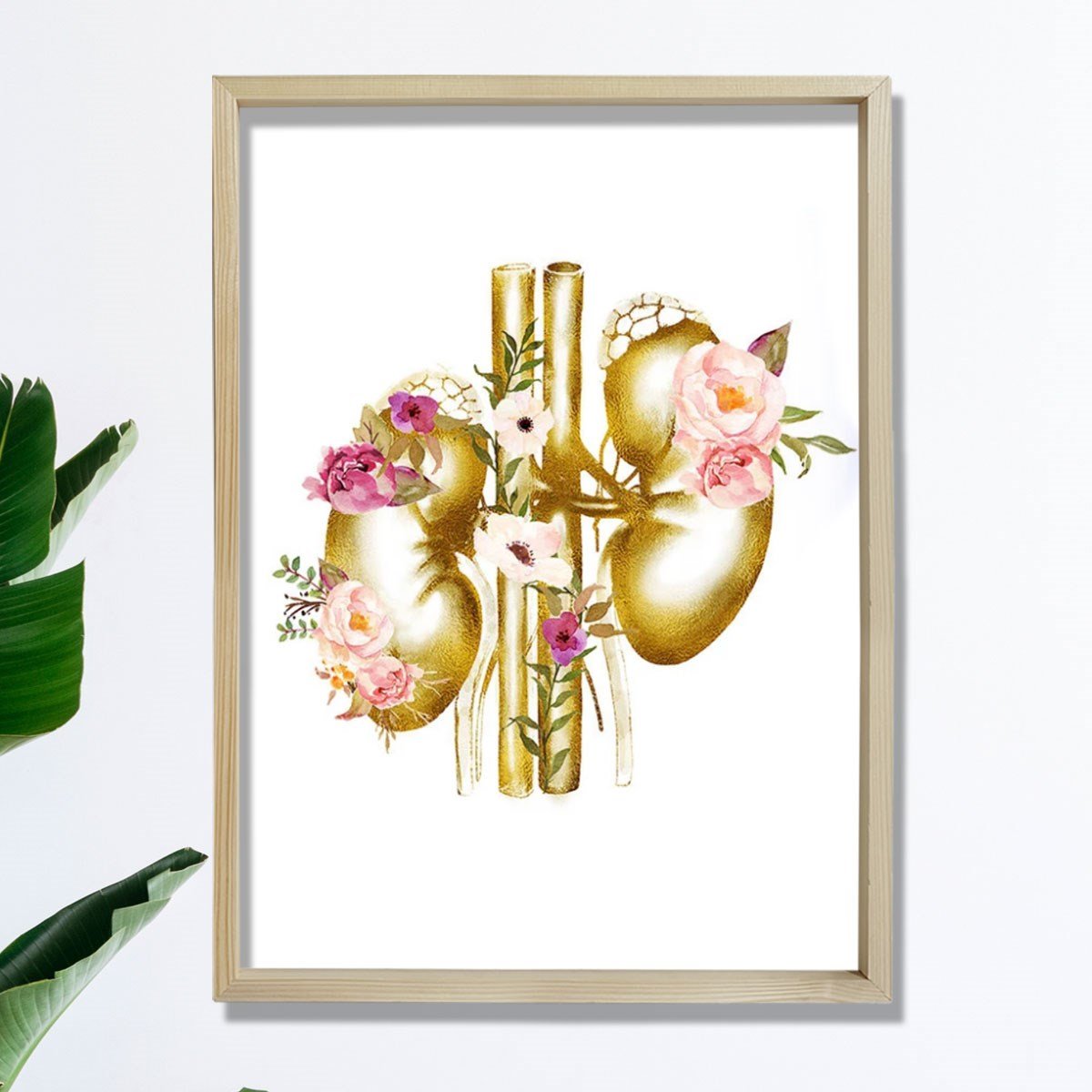 Böbrek Anatomisi Ve Sanatı, Ürolog Doktoru Duvar Tablosu