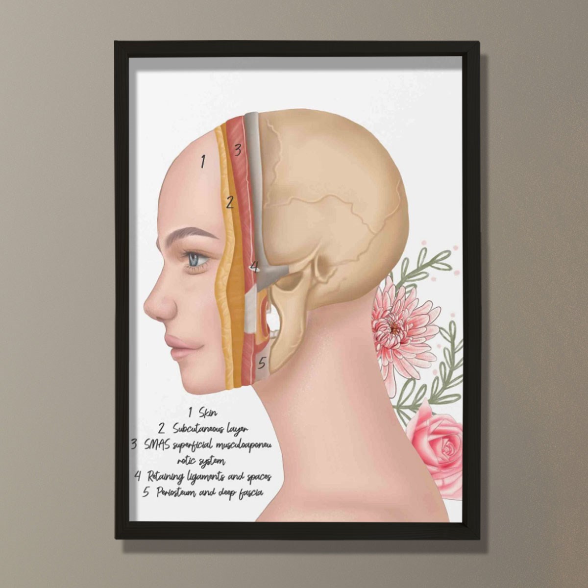 Cilt Katmanları, Yüz Rekonstrüktif Cerrahi, Plastik ve Estetik Cerrahı, Doktor Odası Duvar Tablosu