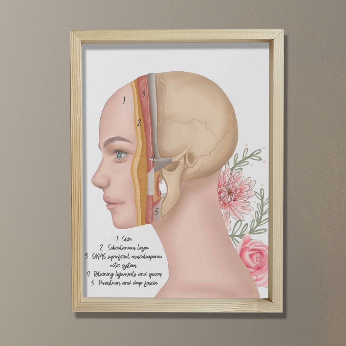 Cilt Katmanları, Yüz Rekonstrüktif Cerrahi, Plastik ve Estetik Cerrahı, Doktor Odası Duvar Tablosu