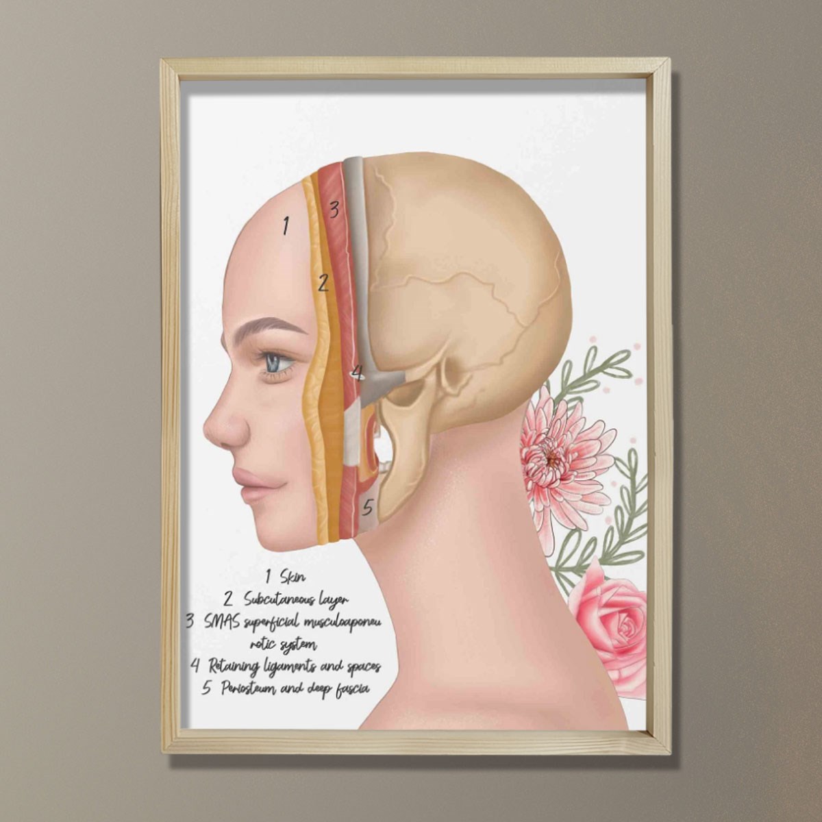 Cilt Katmanları, Yüz Rekonstrüktif Cerrahi, Plastik ve Estetik Cerrahı, Doktor Odası Duvar Tablosu