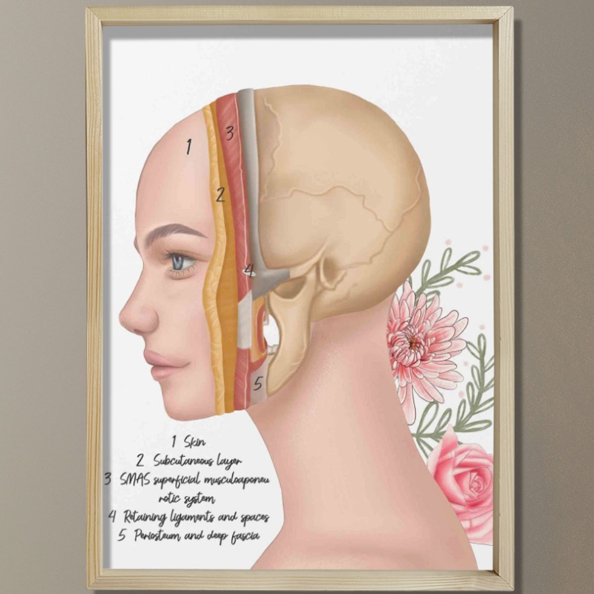 Cilt Katmanları, Yüz Rekonstrüktif Cerrahi, Plastik ve Estetik Cerrahı, Doktor Odası Duvar Tablosu